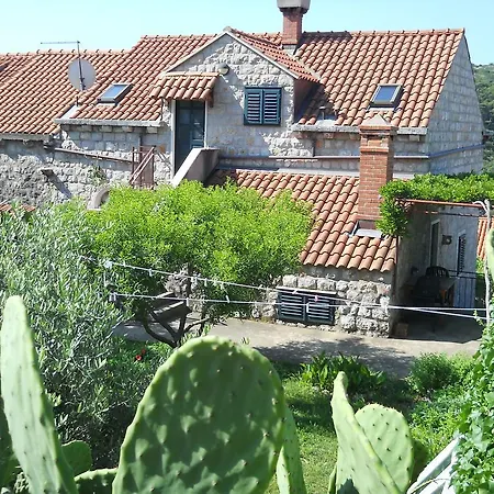 And With Wifi Kolocep 15109 Penzion